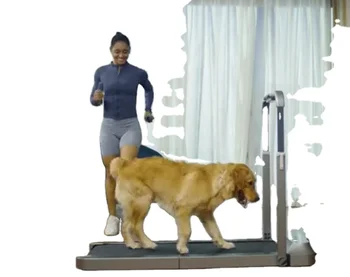 тренажер для выгула собак домашних животных электронный бестселлер тренажер для выгула собак беговая дорожка для собак продается
