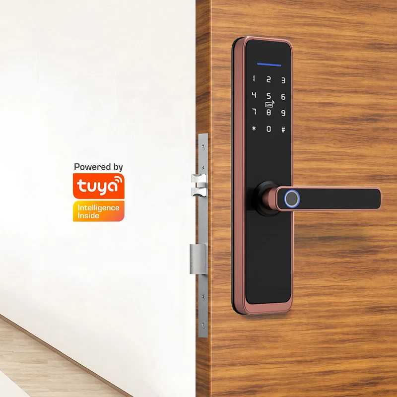 Цифровой электронный замок Tuya Smart Home Без ключа и отпечатков пальцев Fechadura Inteligente Дверной замок Для квартир - 0